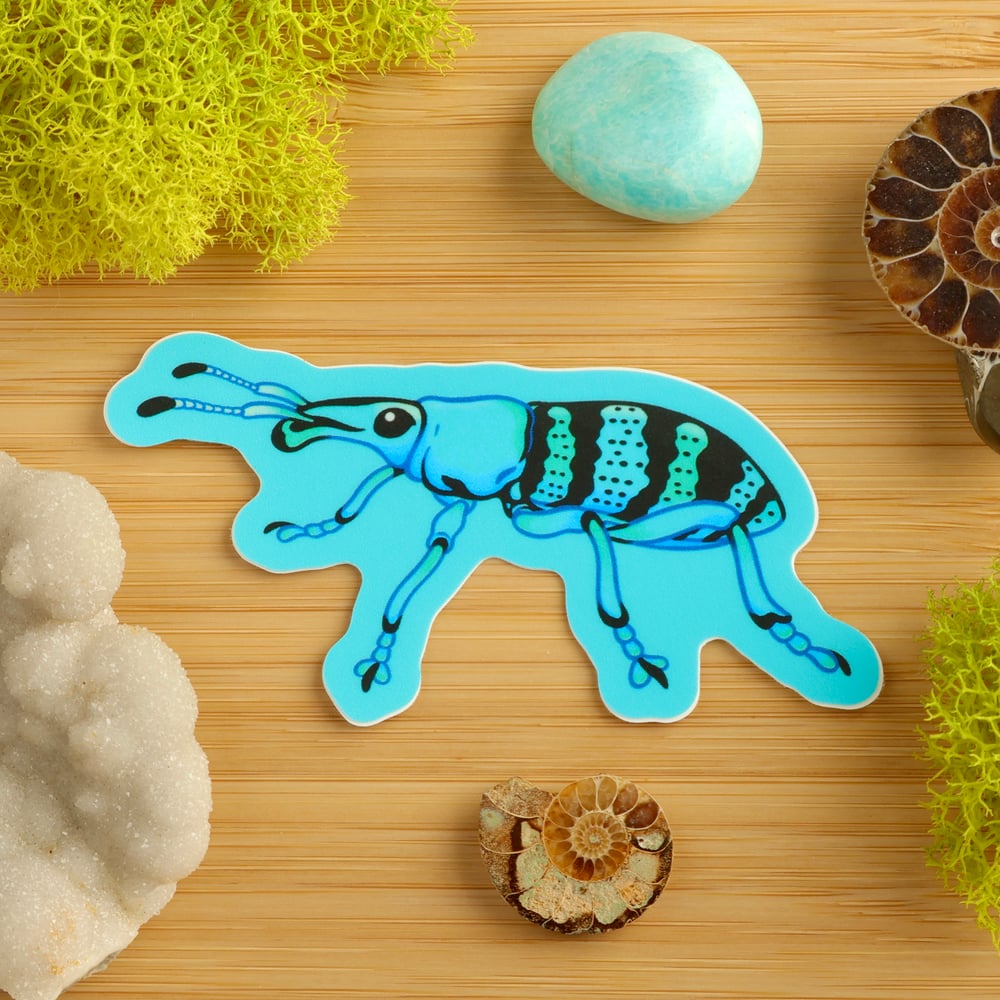 Blue Weevil Sticker (Side-Profile)