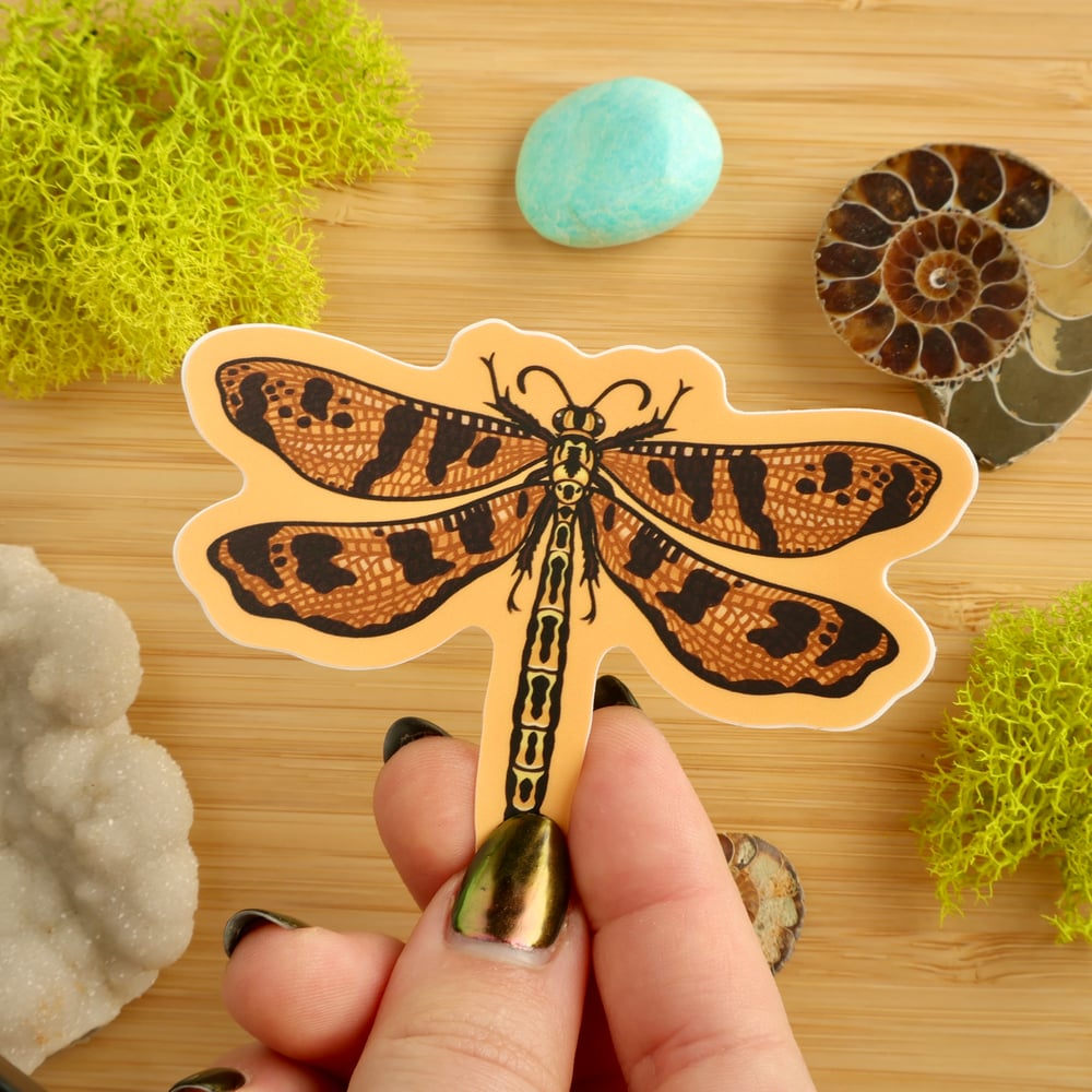 Antlion Adult Sticker