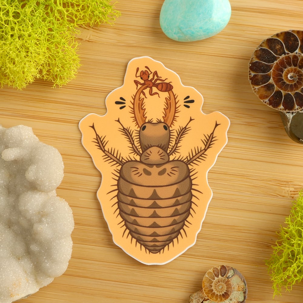 Antlion Larva Sticker