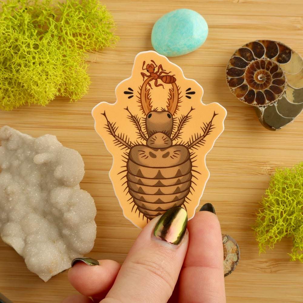 Antlion Larva Sticker