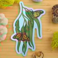 Image 1 of Overwintering Monarchs Sticker