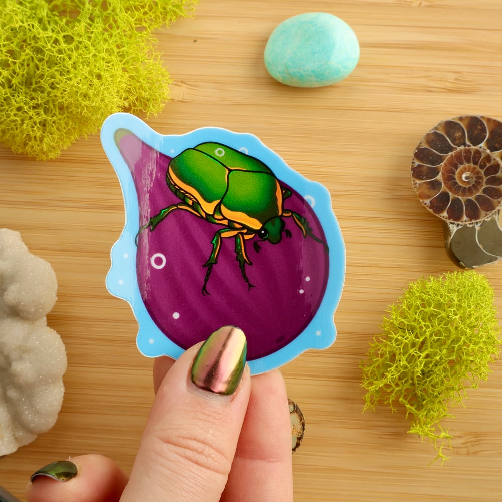 Holographic Figeater Beetle on Fig Sticker