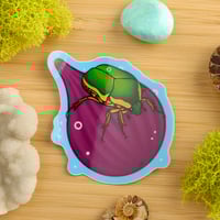 Image 1 of Holographic Figeater Beetle on Fig Sticker