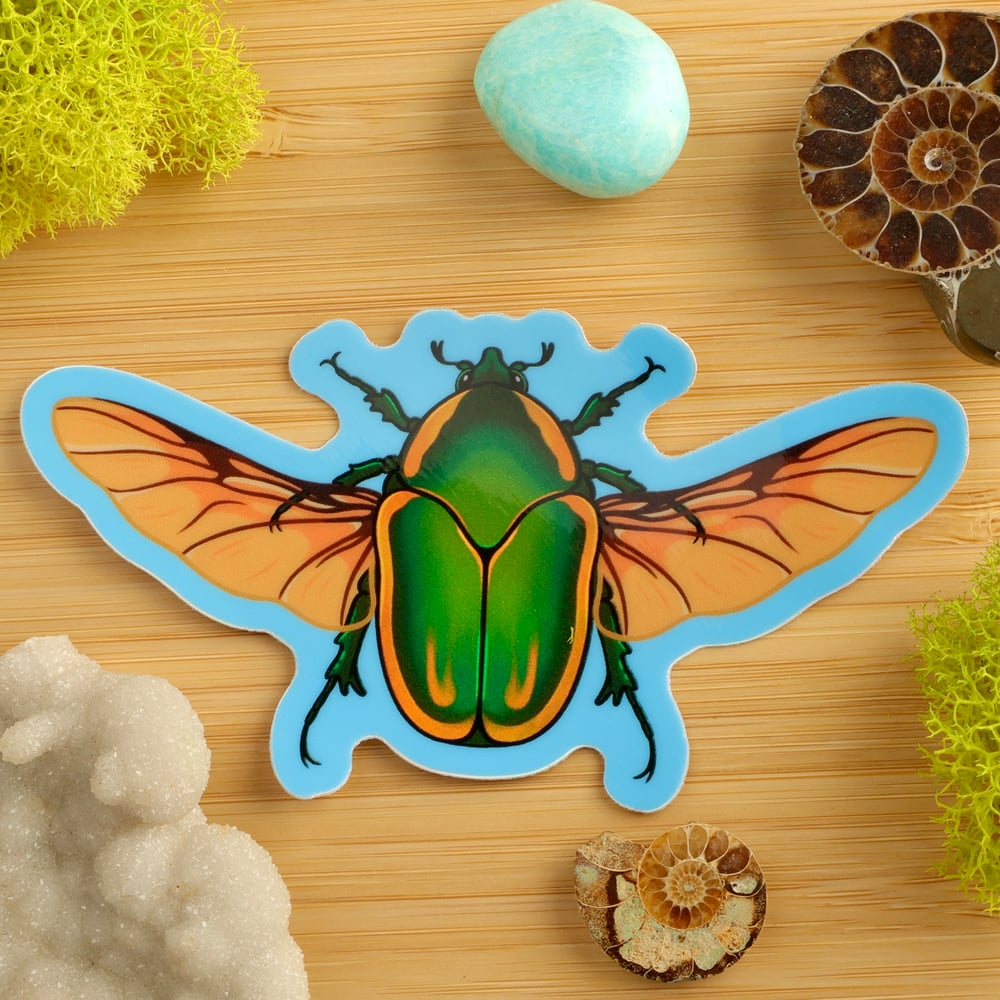 Holographic Figeater Beetle Sticker