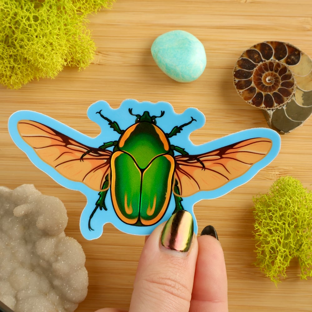 Holographic Figeater Beetle Sticker