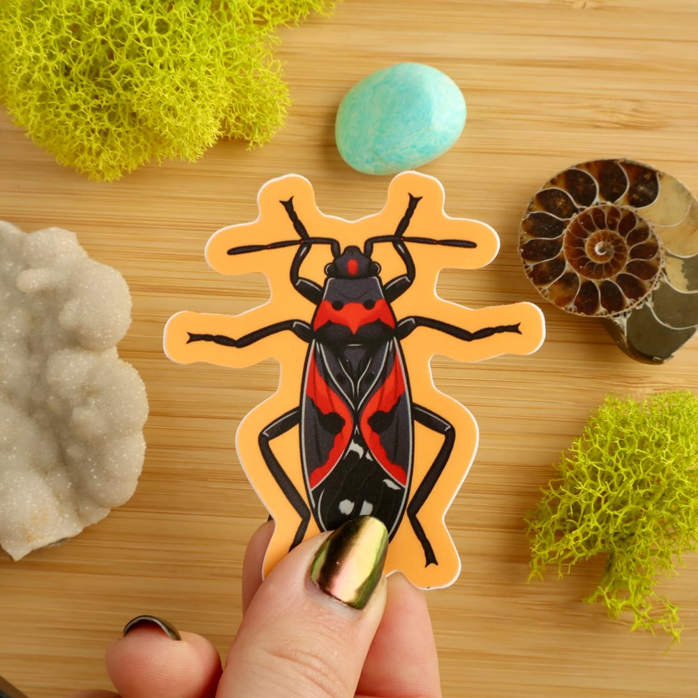 Milkweed Bug Sticker