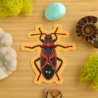 Image 1 of Milkweed Bug Sticker