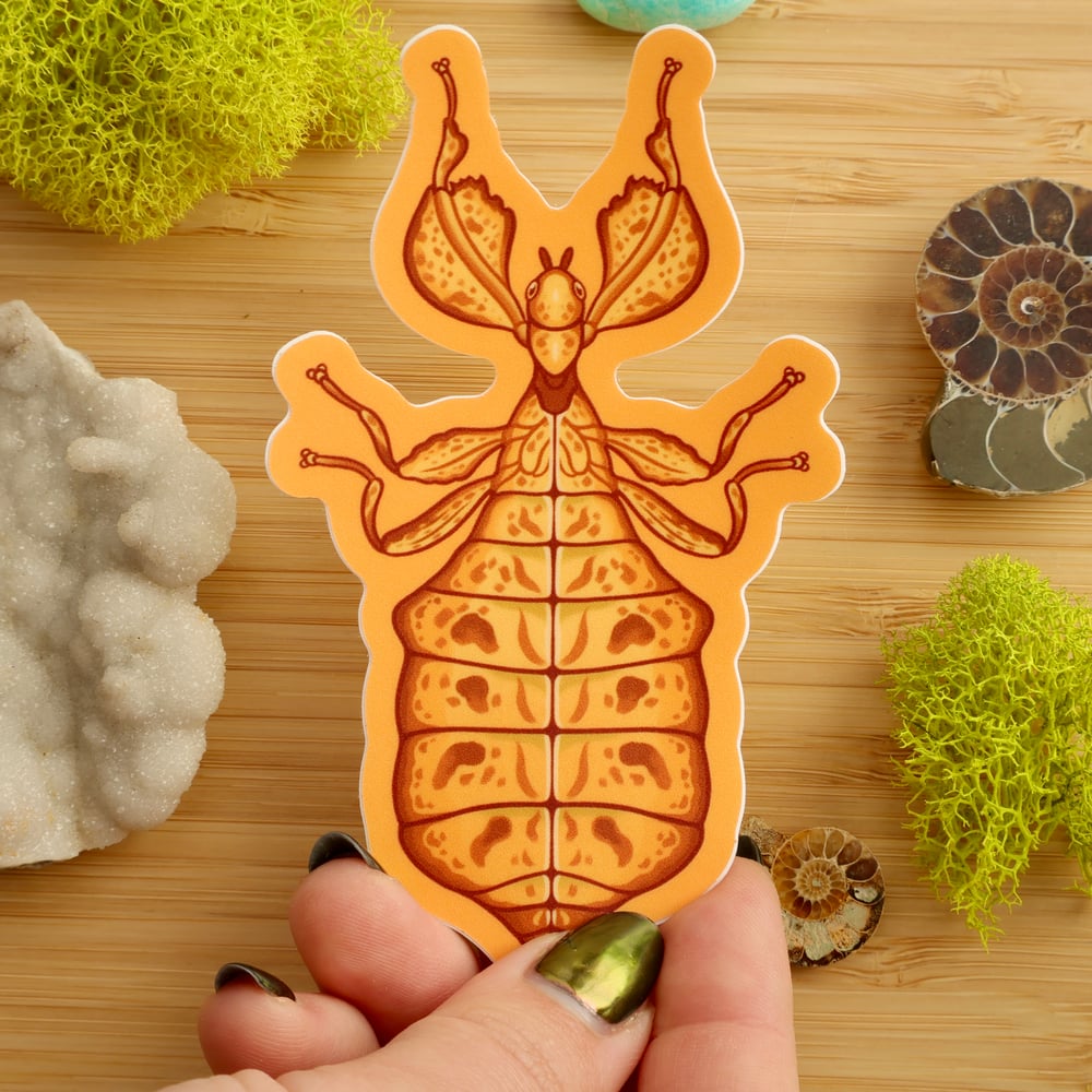 Leaf Insect Sticker