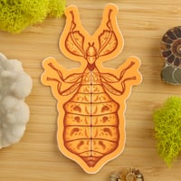 Image 1 of Yellow Leaf Insect Sticker