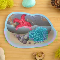 Image 1 of Tidepool Sticker