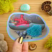 Image 2 of Tidepool Sticker