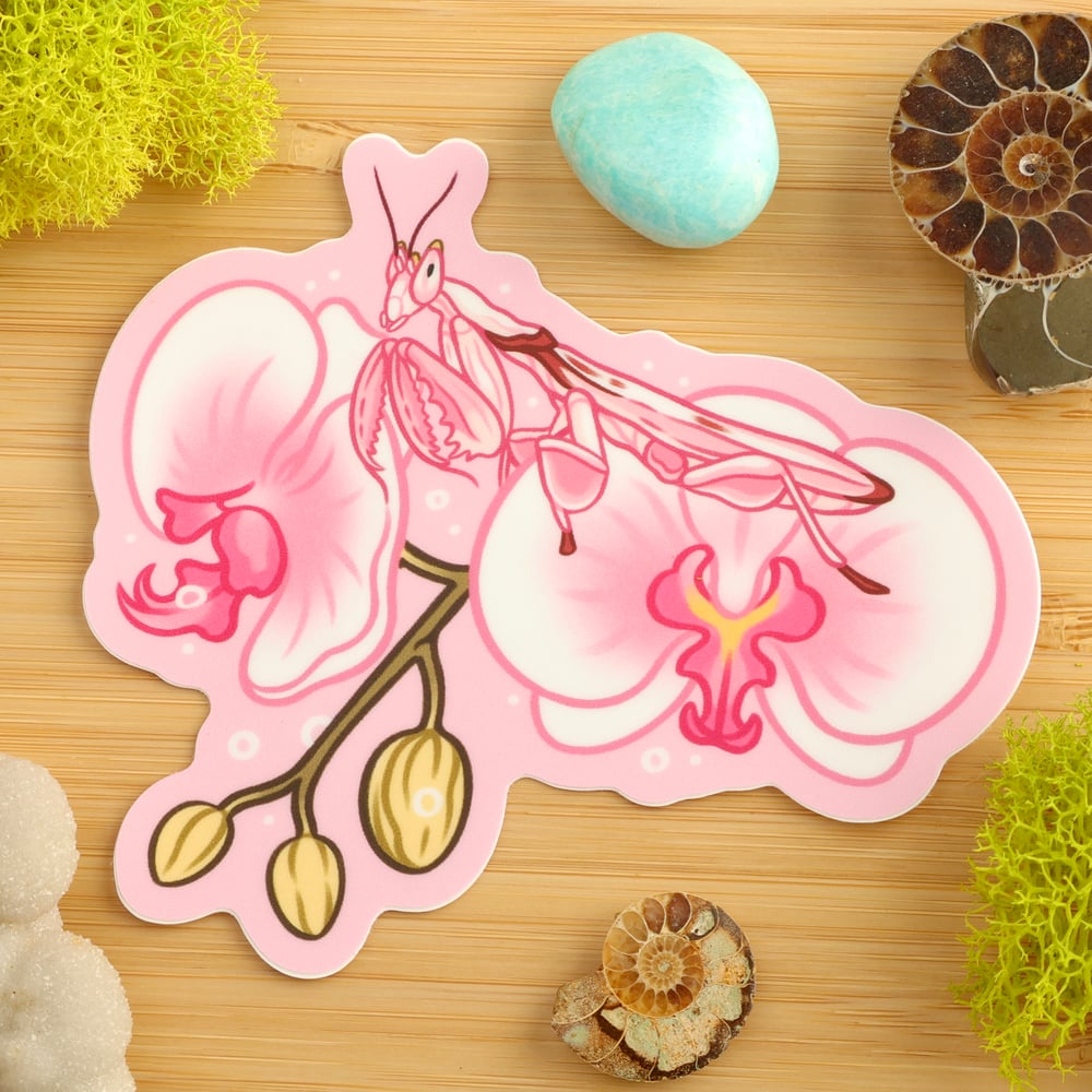 Orchid Mantis on Orchid Sticker