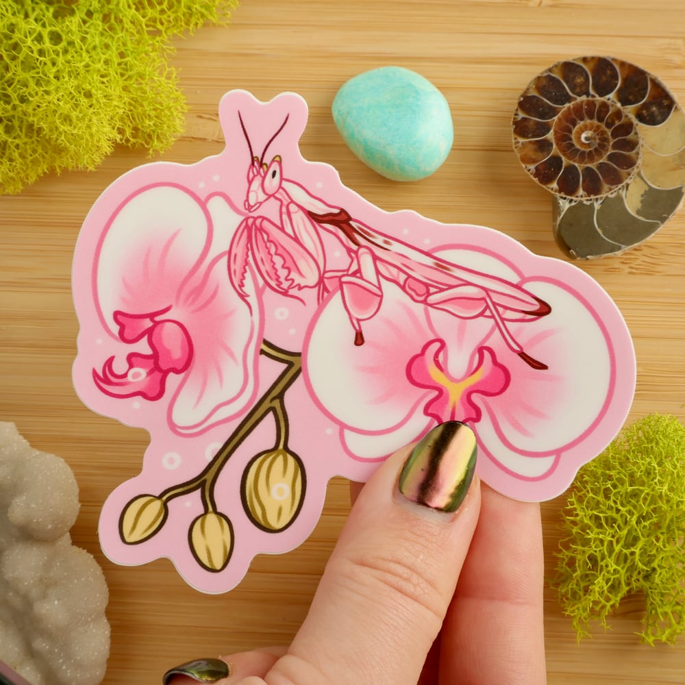 Orchid Mantis on Orchid Sticker