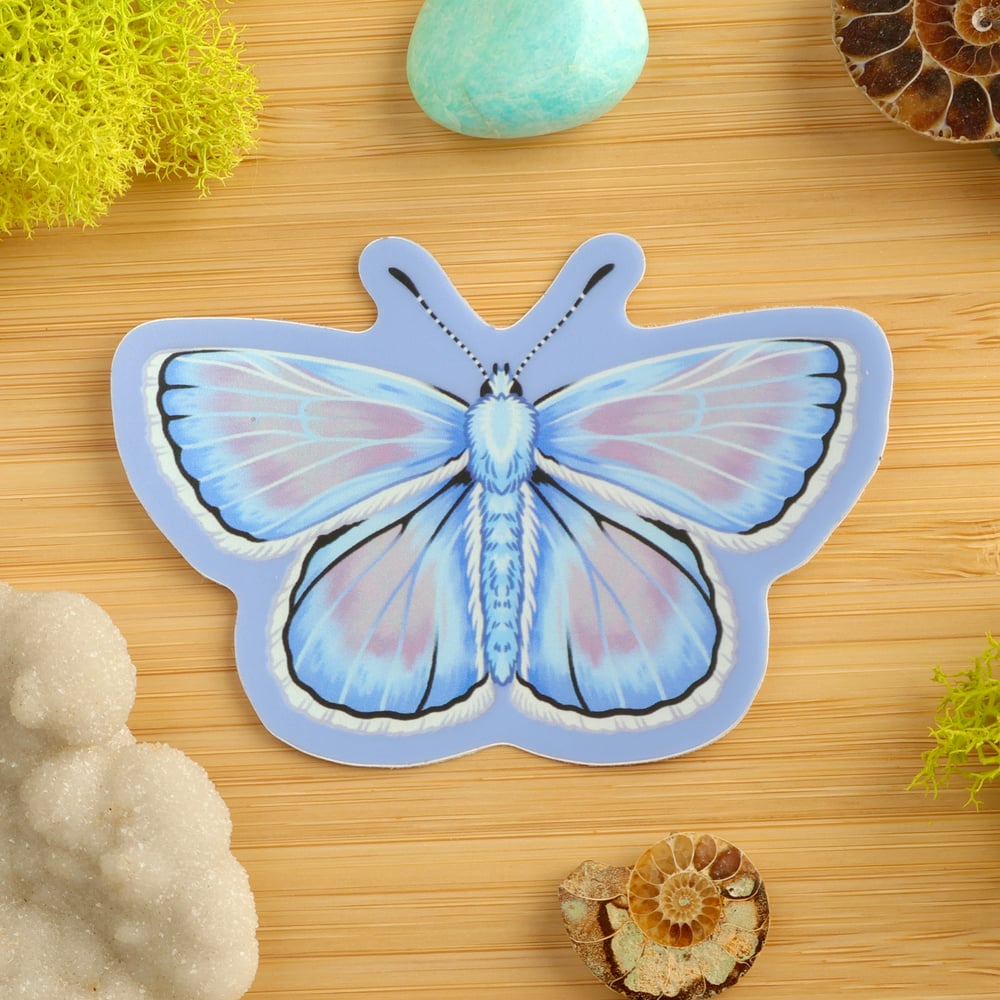 Vaporwave Common Blue Butterfly Male Sticker