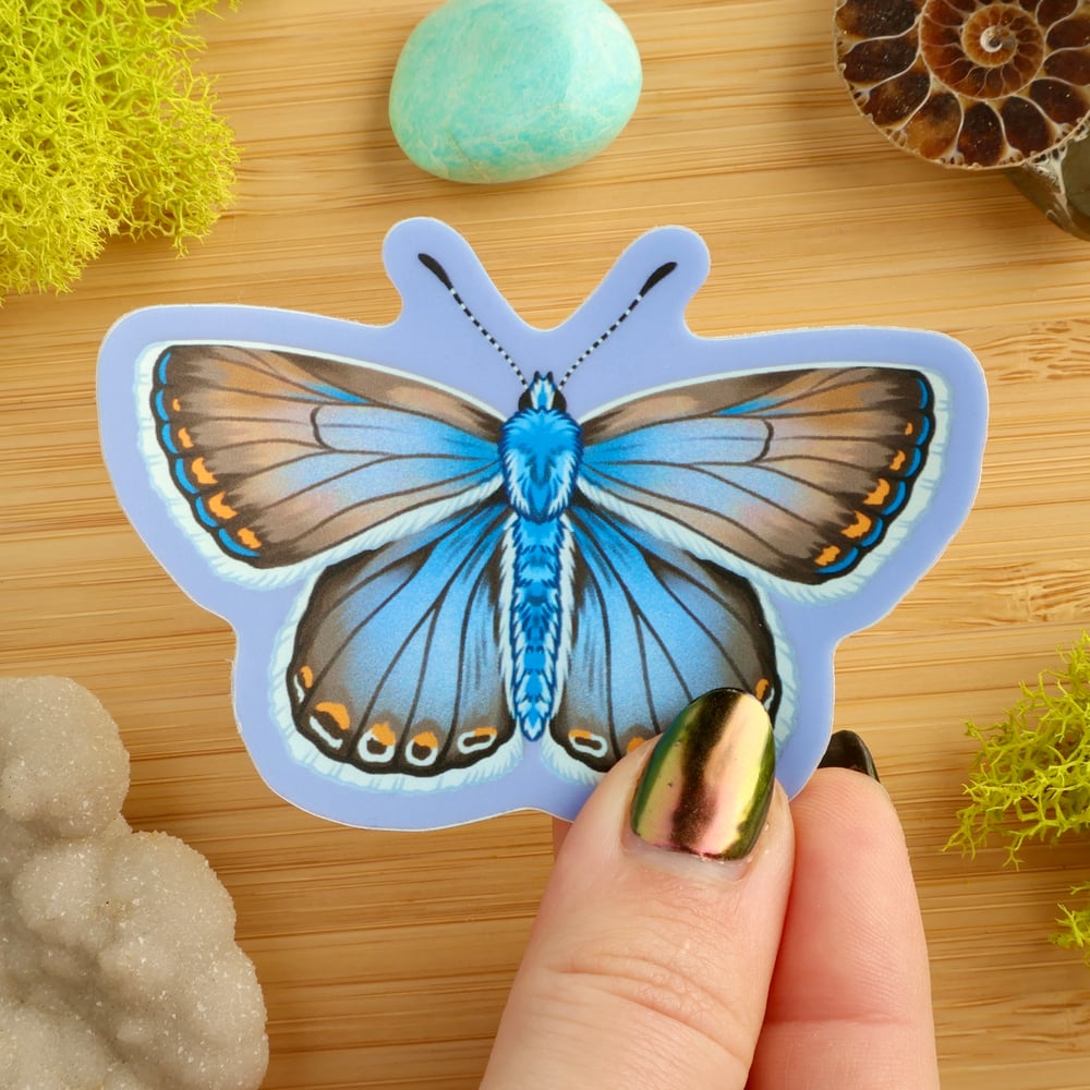 Vaporwave Common Blue Butterfly Female Sticker