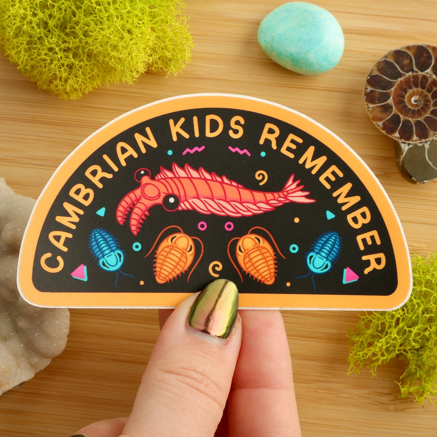 Cambrian Kids Remember Sticker | fossilforager