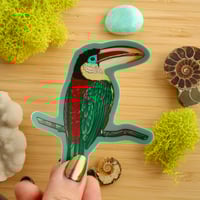 Image 2 of Curl-crested Aracari Vinyl Sticker