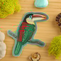 Image 1 of Curl-crested Aracari Vinyl Sticker