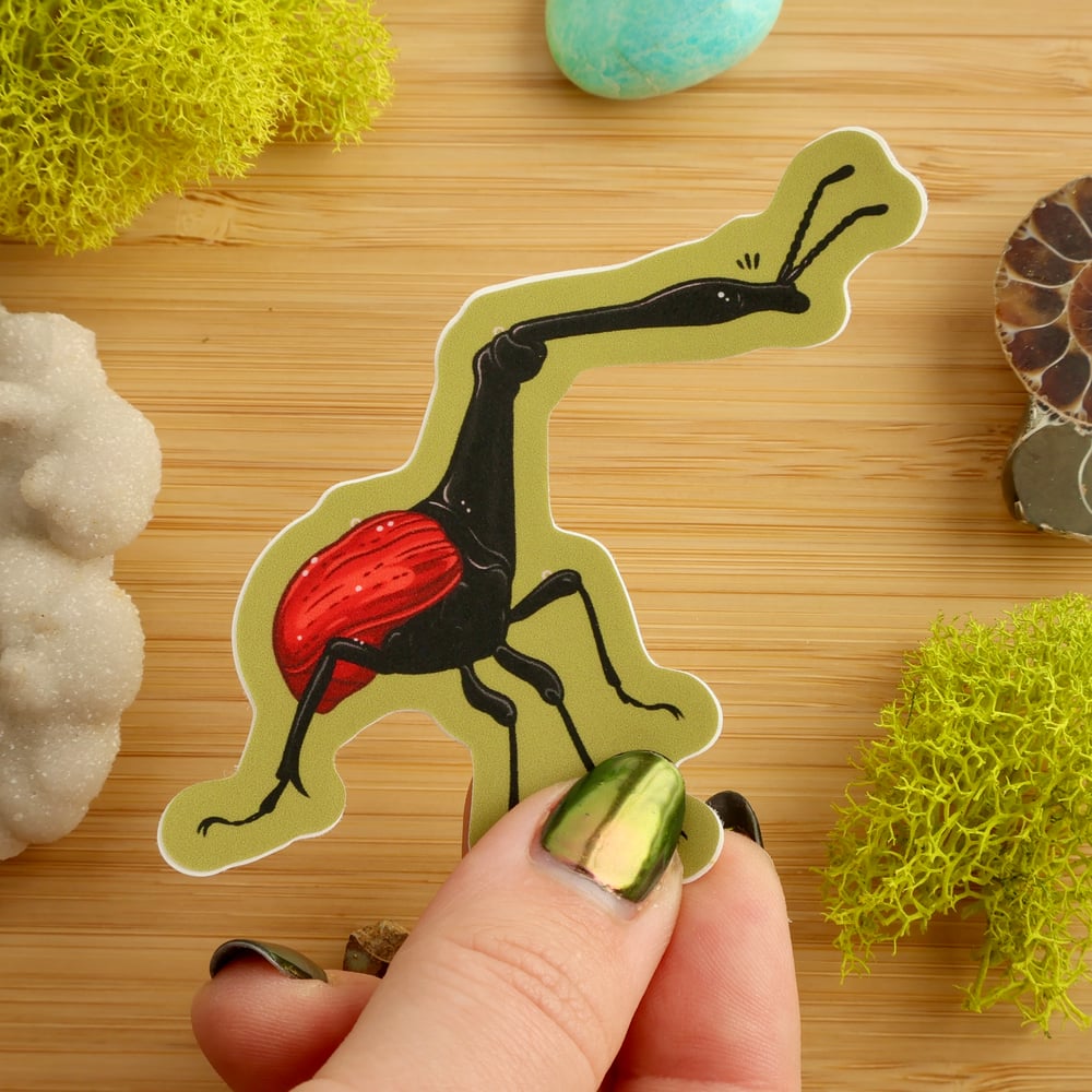 Giraffe Weevil Sticker