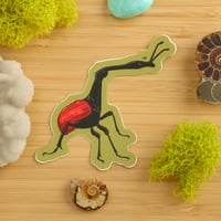 Image 1 of Giraffe Weevil Sticker