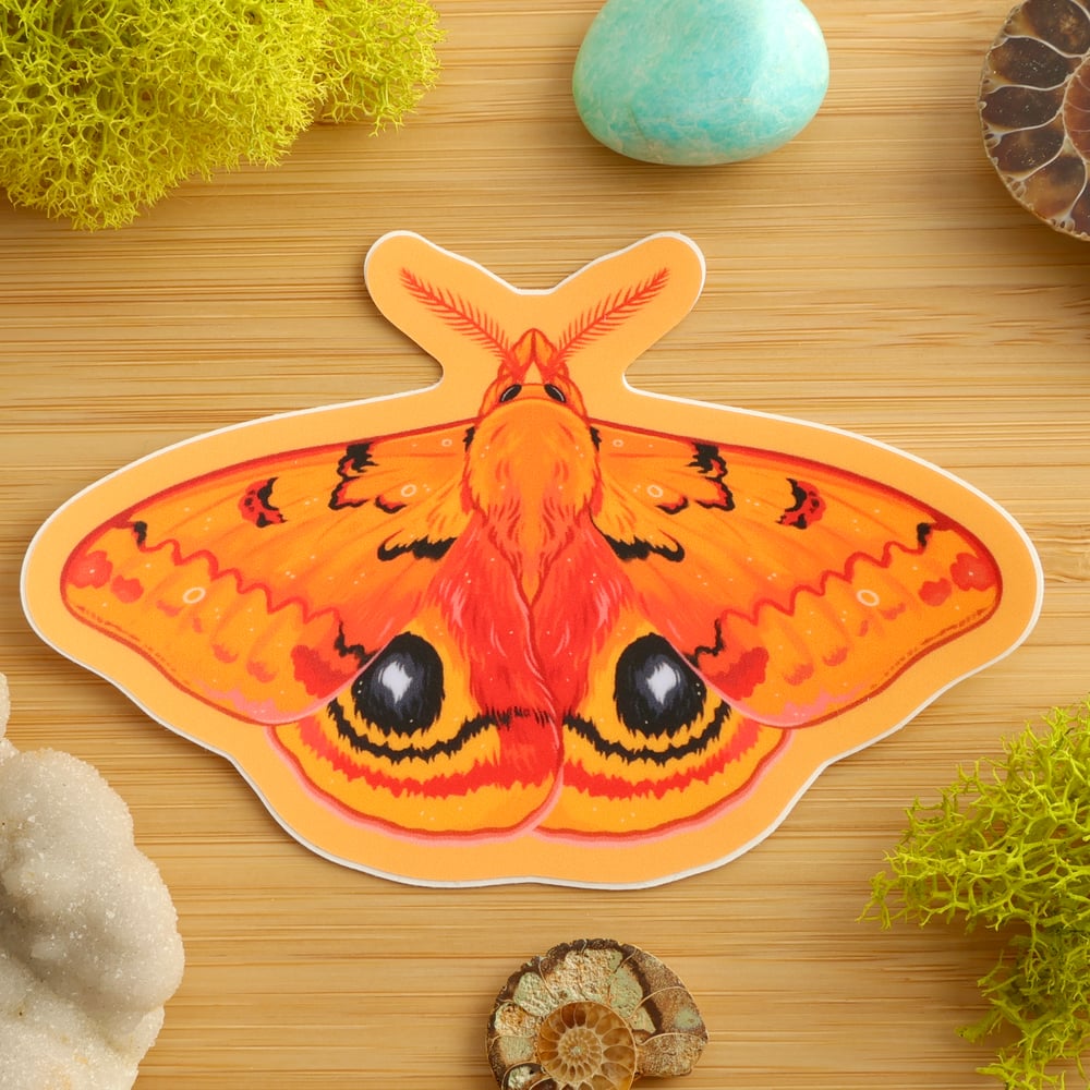 Io Moth Sticker