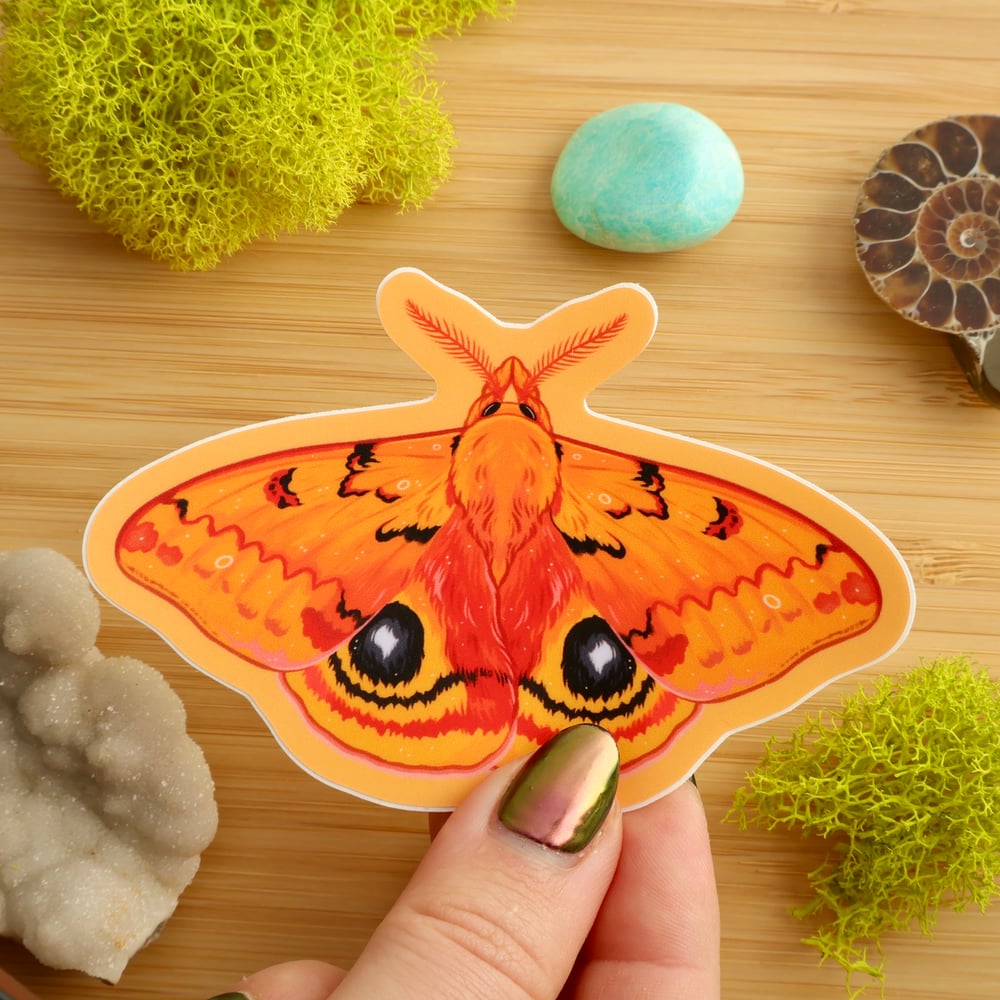 Io Moth Sticker