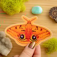 Image 2 of Io Moth Sticker