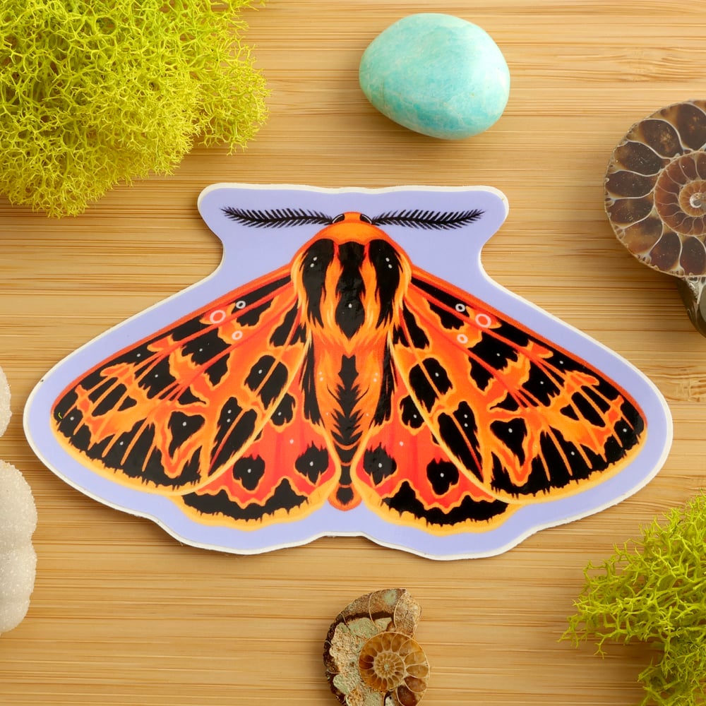 Ornate Tiger Moth Sticker