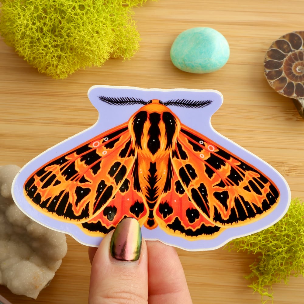 Ornate Tiger Moth Sticker