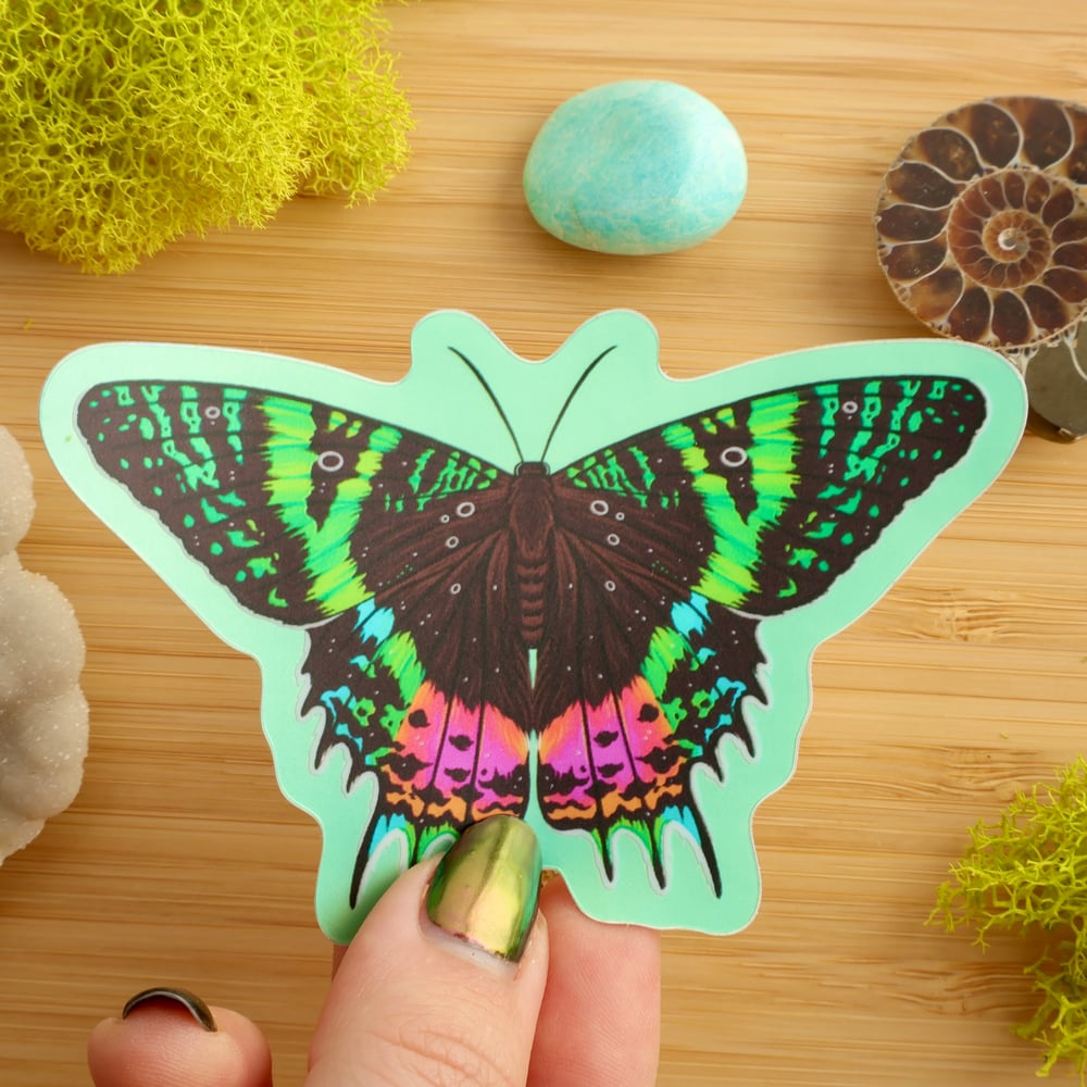 Vaporwave Madagascan Sunset Moth Sticker