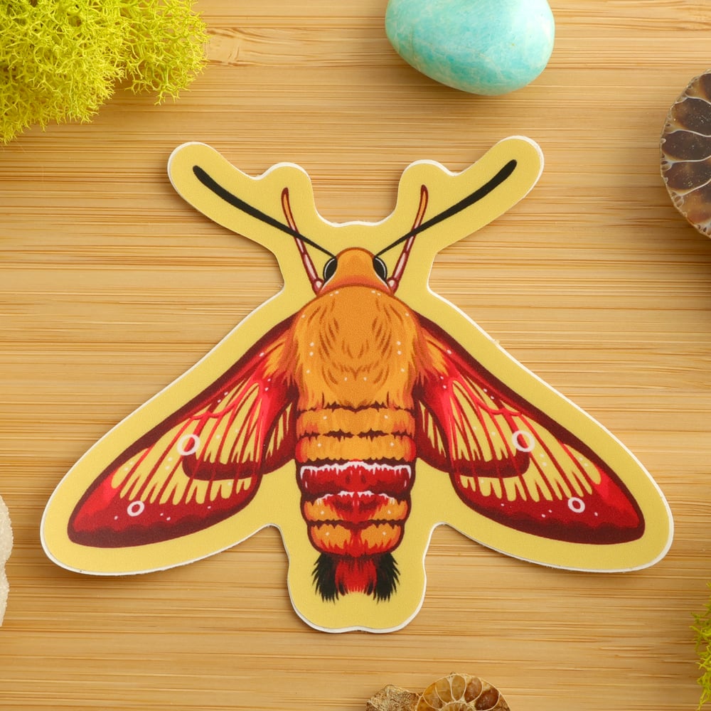 Hummingbird Clearwing Sticker