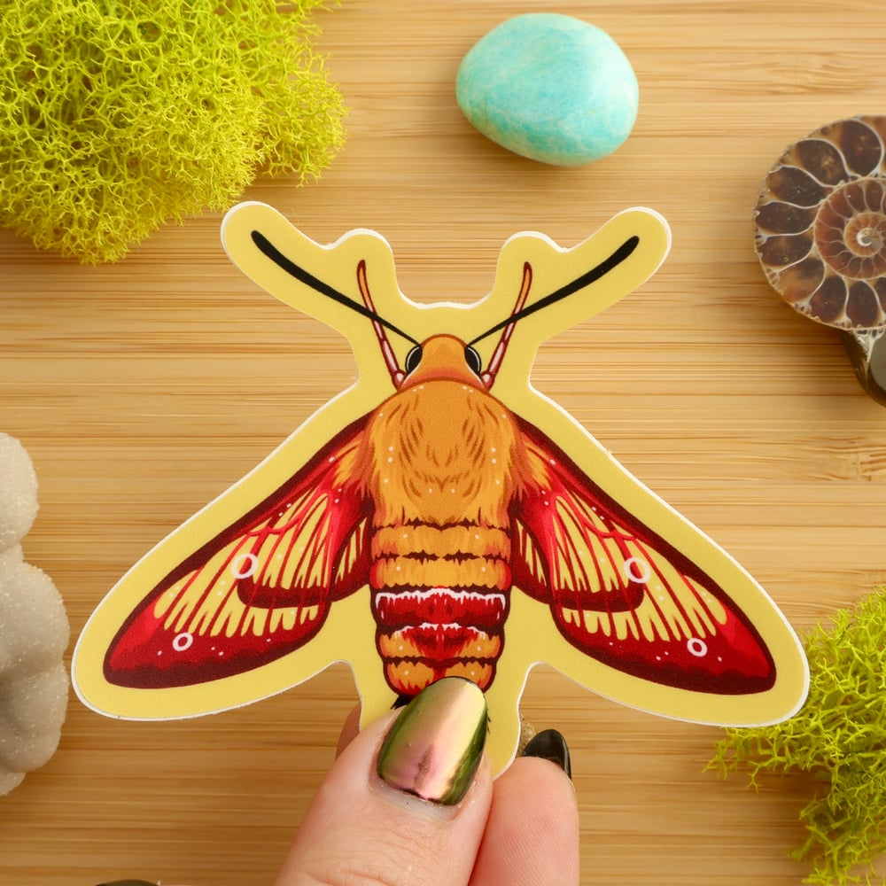 Hummingbird Clearwing Sticker