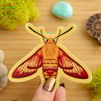 Image 2 of Hummingbird Clearwing Sticker