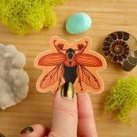 Image 2 of Cockchafer Beetle Sticker