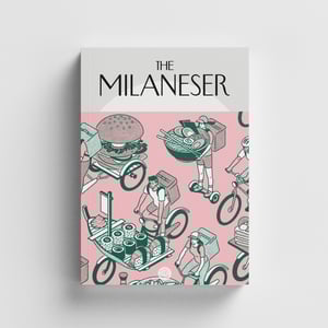 Image of The Milaneser Book