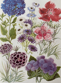 Image 3 of The Oxford Book of Garden Flowers