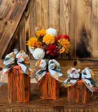 Image 1 of Fall/Thanksgiving/Black Crackle Fall pumpkin set