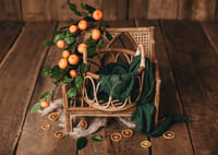 Orange set with bench and basket 