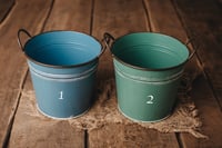 Image 1 of Funny pails