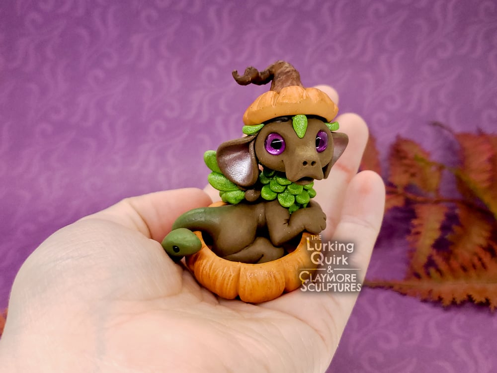 Brown and Green Chimera in Pumpkin