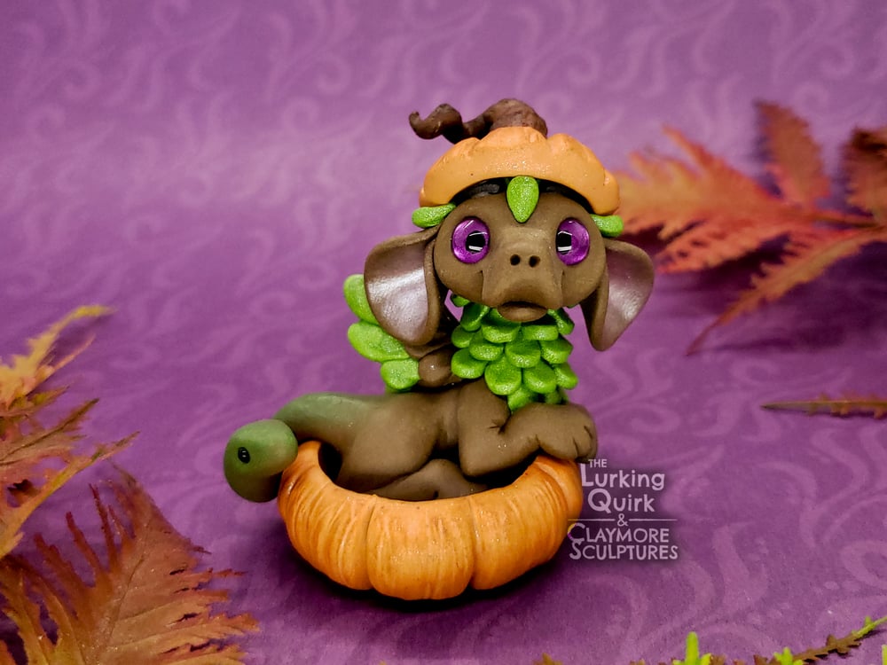 Brown and Green Chimera in Pumpkin