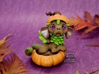 Image 1 of Brown and Green Chimera in Pumpkin
