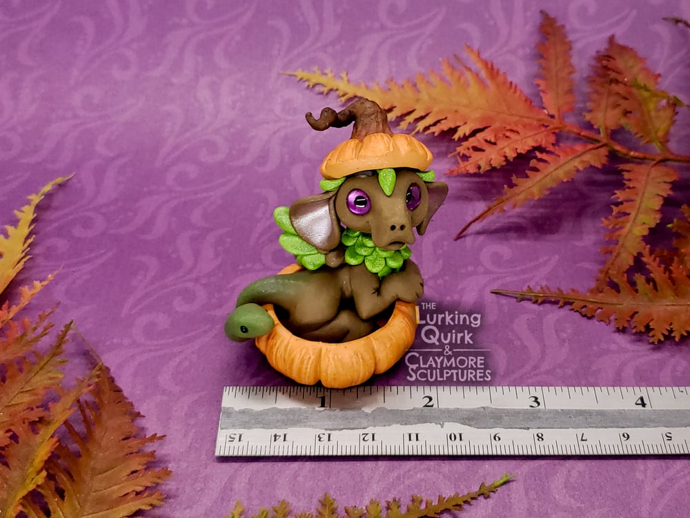 Brown and Green Chimera in Pumpkin