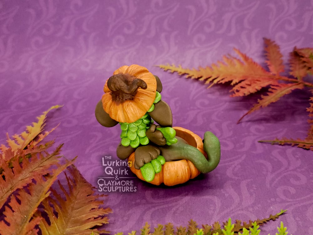 Brown and Green Chimera in Pumpkin