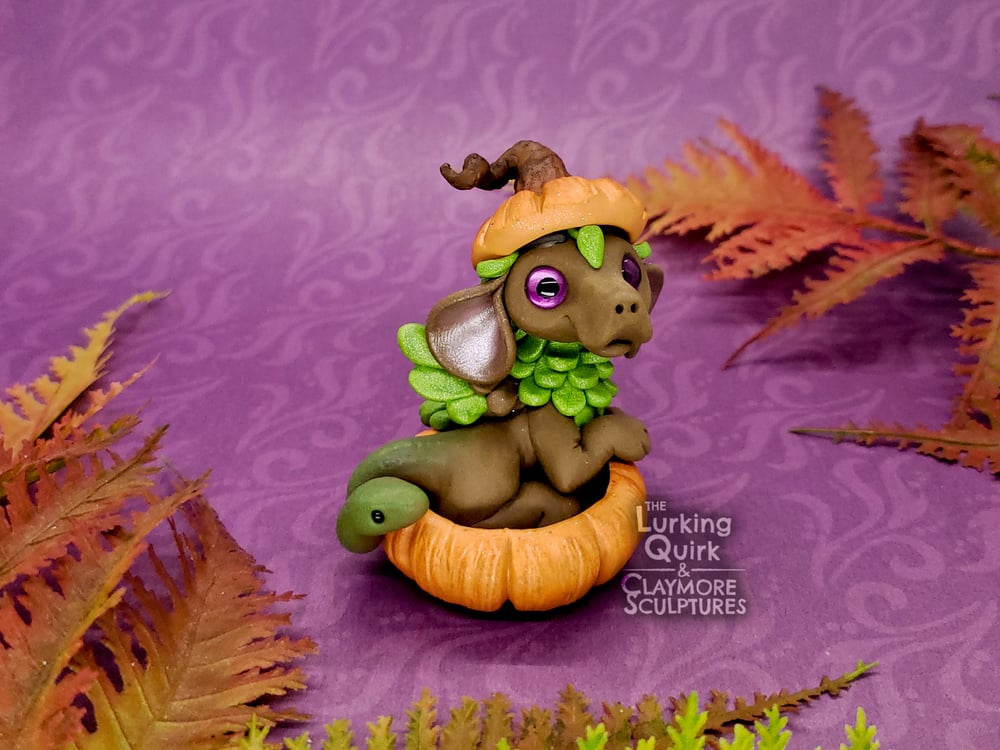 Brown and Green Chimera in Pumpkin