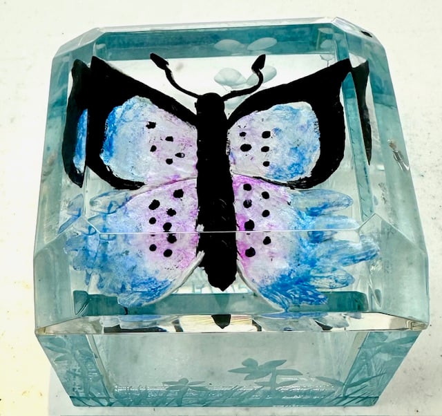 Image of Jumbo Mini Painted Aqua Butterfly Box 