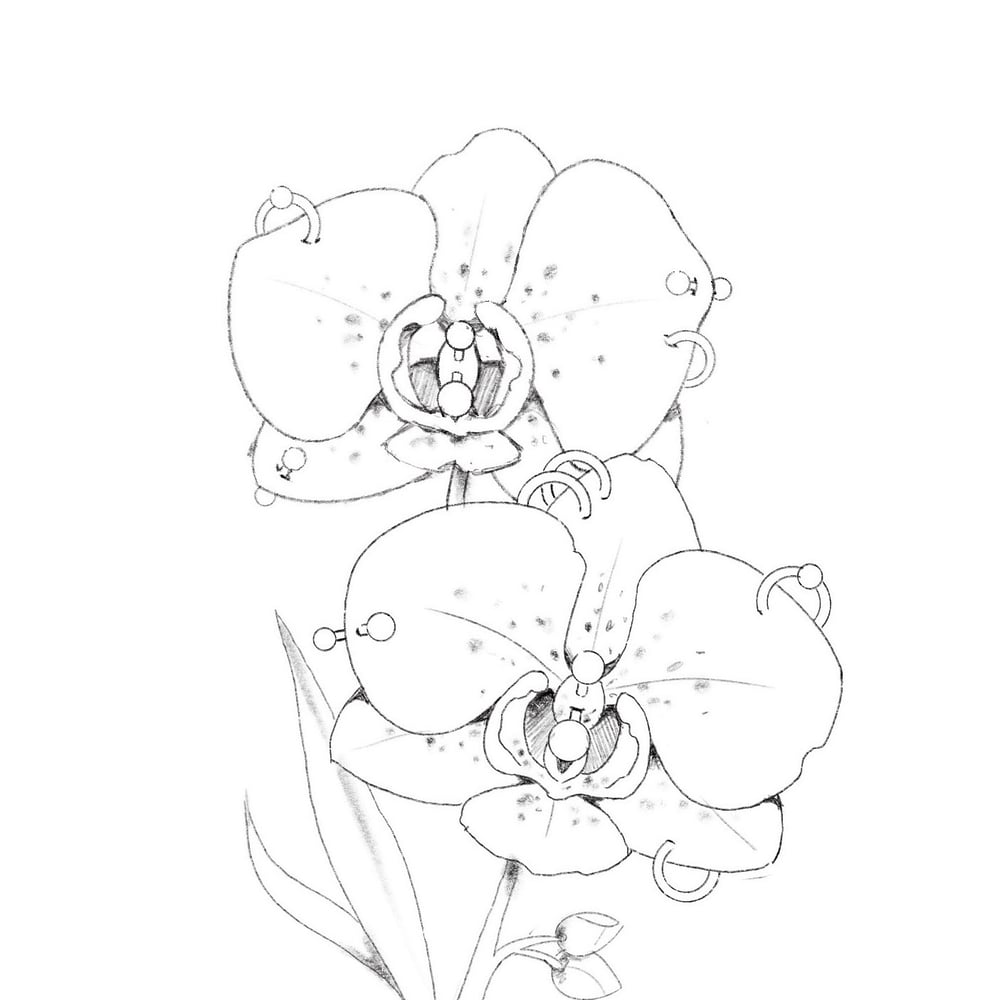 Image of custom design ★