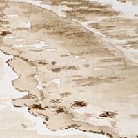Image 2 of Plage du Pyla-sur-mer, numéro 66