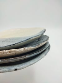 Image 2 of Plate