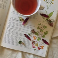 Image 1 of Hawthorne and The Heart Gates of Love and Grief Sept 15th